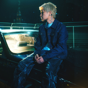 a一级特黄久久精品高清日本大片
