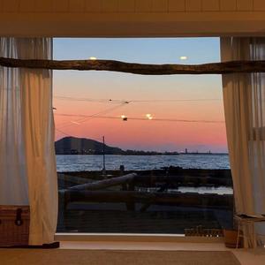 a一级特黄久久精品高清日本大片
