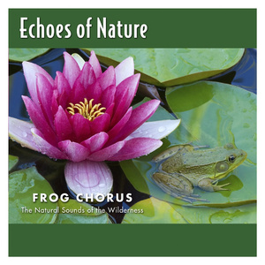 a一级特黄久久精品高清日本大片
